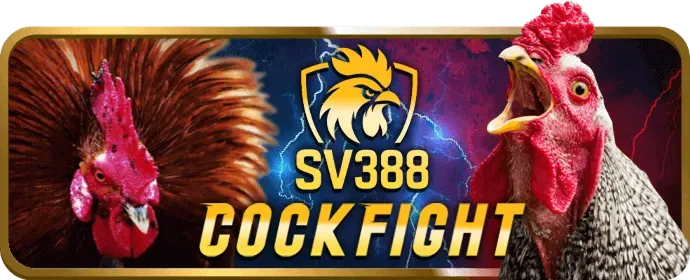 Hướng dẫn chơi xổ số dt68 game