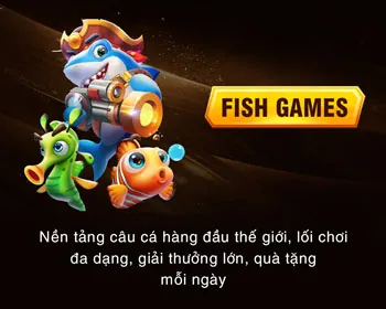 Thông tin hồ sơ người dùng
